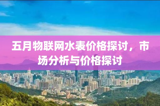 五月物联网水表价格探讨，市场分析与价格探讨
