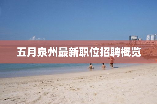 五月泉州最新职位招聘概览
