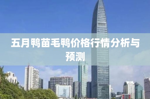 五月鸭苗毛鸭价格行情分析与预测