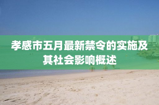 孝感市五月最新禁令的实施及其社会影响概述