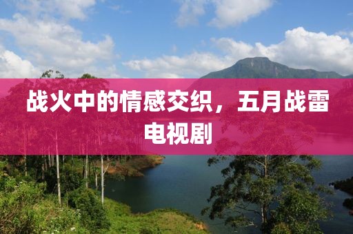 战火中的情感交织，五月战雷电视剧