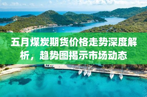 五月煤炭期货价格走势深度解析，趋势图揭示市场动态