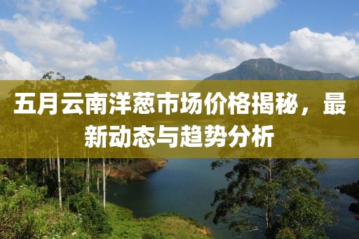 五月云南洋葱市场价格揭秘，最新动态与趋势分析