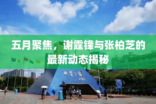 五月聚焦，谢霆锋与张柏芝的最新动态揭秘