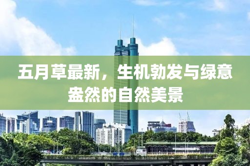 五月草最新，生机勃发与绿意盎然的自然美景