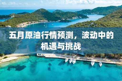 五月原油行情预测，波动中的机遇与挑战