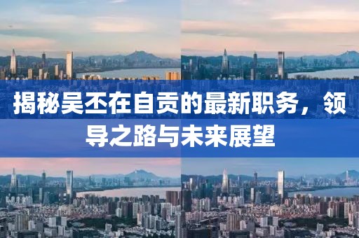 揭秘吴丕在自贡的最新职务，领导之路与未来展望