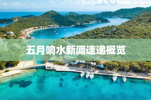 五月响水新闻速递概览
