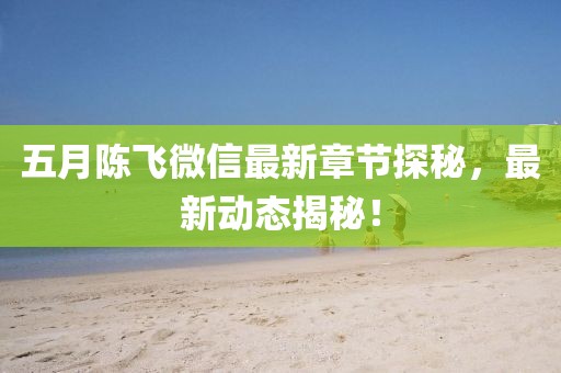 五月陈飞微信最新章节探秘，最新动态揭秘！
