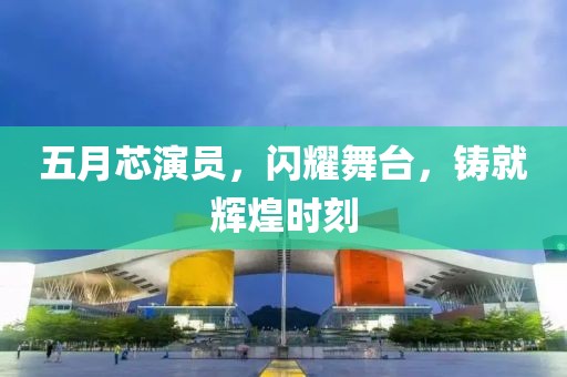 五月芯演员，闪耀舞台，铸就辉煌时刻