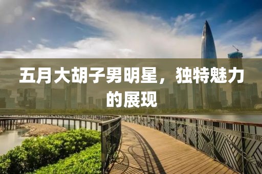 五月大胡子男明星，独特魅力的展现