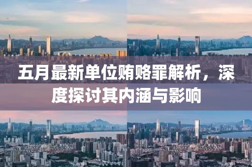 五月最新单位贿赂罪解析，深度探讨其内涵与影响