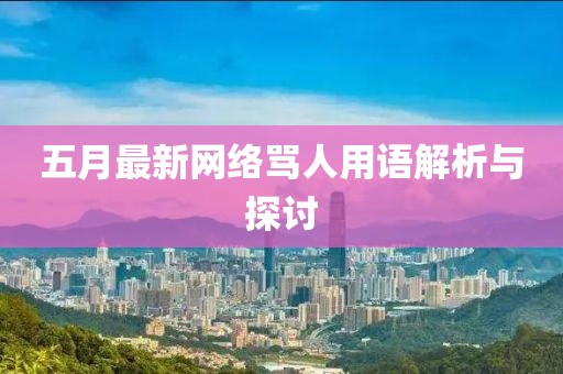 五月最新网络骂人用语解析与探讨