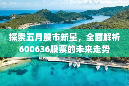 探索五月股市新星，全面解析600636股票的未来走势