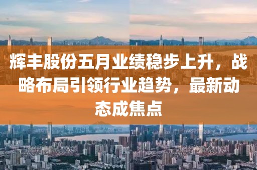 辉丰股份五月业绩稳步上升，战略布局引领行业趋势，最新动态成焦点