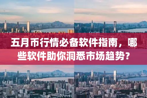 五月币行情必备软件指南，哪些软件助你洞悉市场趋势？