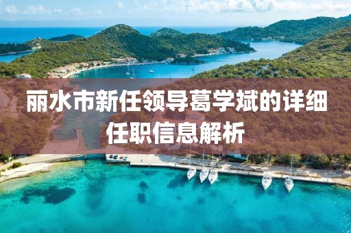 丽水市新任领导葛学斌的详细任职信息解析