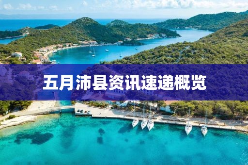 五月沛县资讯速递概览