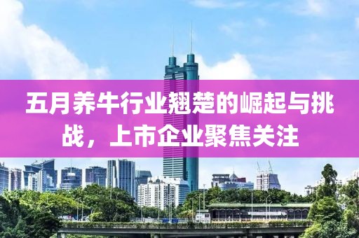 五月养牛行业翘楚的崛起与挑战，上市企业聚焦关注