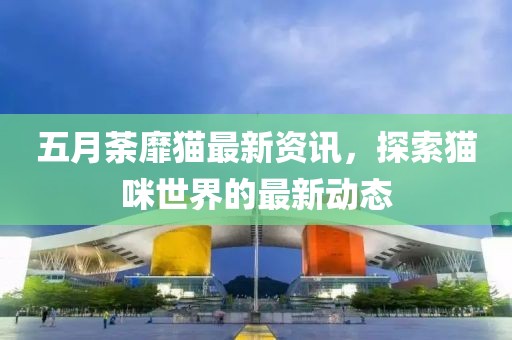 五月荼靡猫最新资讯，探索猫咪世界的最新动态