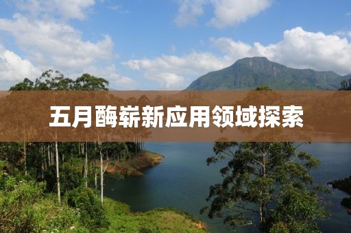 五月酶崭新应用领域探索