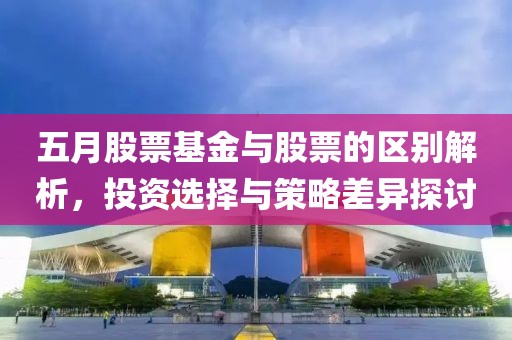 五月股票基金与股票的区别解析，投资选择与策略差异探讨