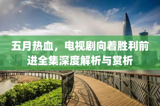 五月热血，电视剧向着胜利前进全集深度解析与赏析