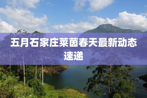 五月石家庄莱茵春天最新动态速递