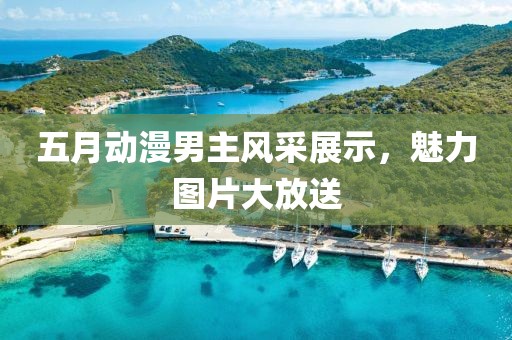 五月动漫男主风采展示，魅力图片大放送