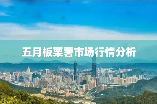 五月板栗薯市场行情分析