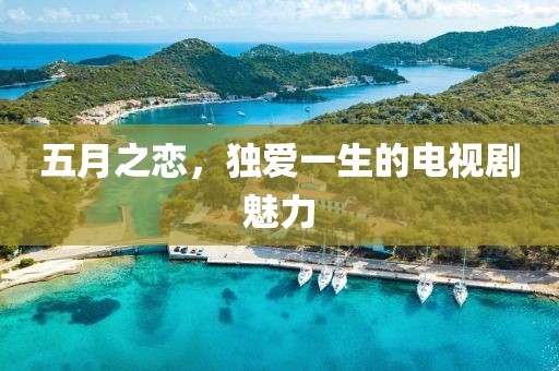 2025年5月29日 第6页