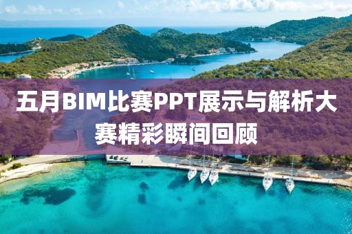 五月BIM比赛PPT展示与解析大赛精彩瞬间回顾