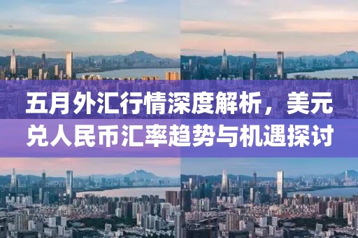 五月外汇行情深度解析，美元兑人民币汇率趋势与机遇探讨
