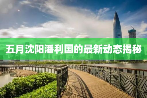 五月沈阳潘利国的最新动态揭秘
