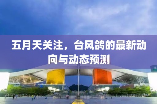 五月天关注，台风鸽的最新动向与动态预测