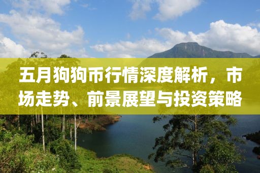 五月狗狗币行情深度解析，市场走势、前景展望与投资策略