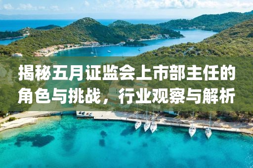 揭秘五月证监会上市部主任的角色与挑战，行业观察与解析