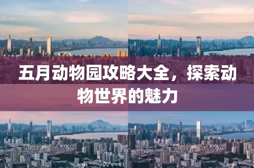 五月动物园攻略大全，探索动物世界的魅力