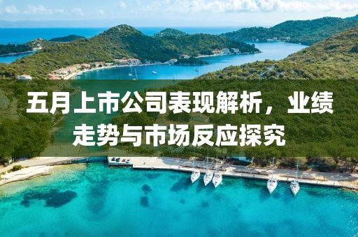 五月上市公司表现解析，业绩走势与市场反应探究