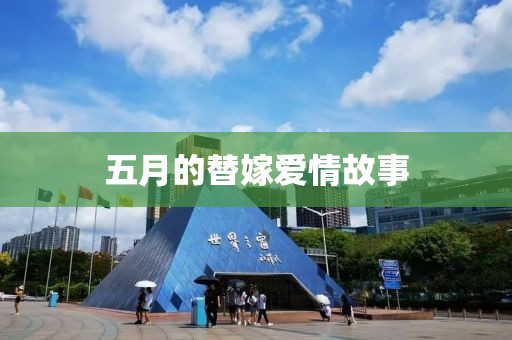 五月的替嫁爱情故事