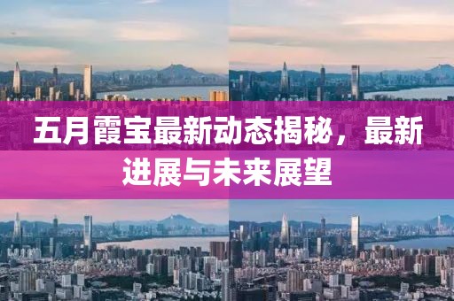 五月霞宝最新动态揭秘，最新进展与未来展望