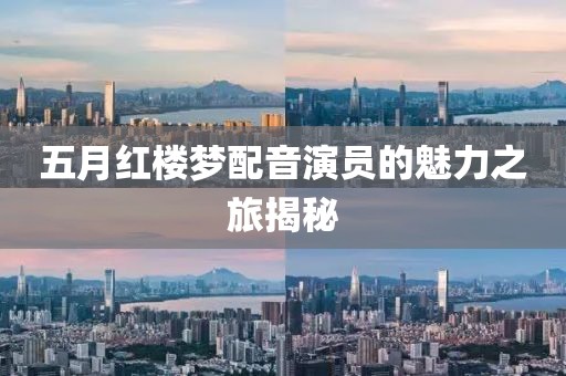 五月红楼梦配音演员的魅力之旅揭秘
