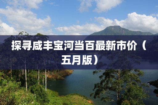 探寻咸丰宝河当百最新市价（五月版）