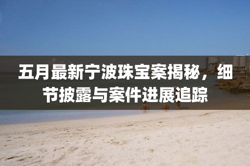 五月最新宁波珠宝案揭秘，细节披露与案件进展追踪