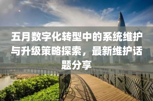 五月数字化转型中的系统维护与升级策略探索，最新维护话题分享
