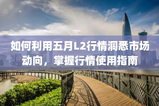 如何利用五月L2行情洞悉市场动向，掌握行情使用指南
