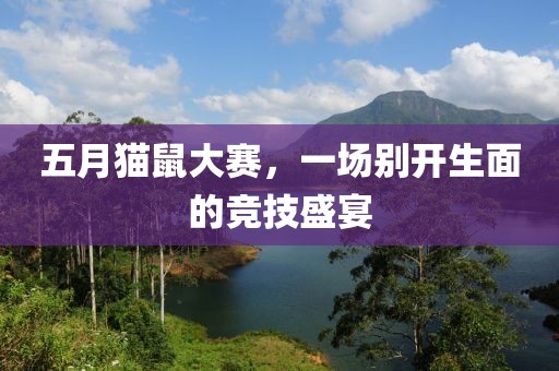 五月猫鼠大赛，一场别开生面的竞技盛宴