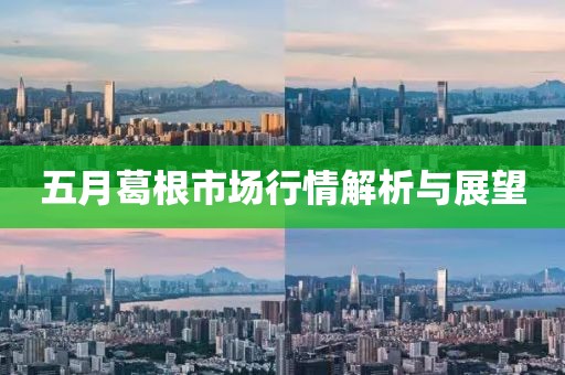 五月葛根市场行情解析与展望
