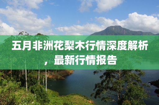 五月非洲花梨木行情深度解析，最新行情报告