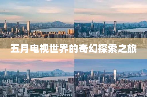 五月电视世界的奇幻探索之旅